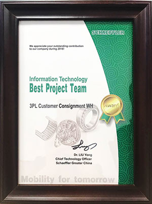Schaeffler's Best Project Team Award for the 3PL project