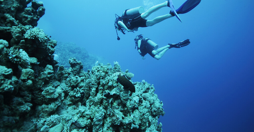 Hold your breath, please! Suppliers get Deep Dive Sessions on SupplyOn solutions