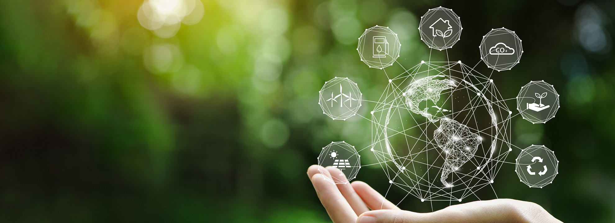 3 Steps for Effective Supplier Engagement in Sustainability SupplyOn