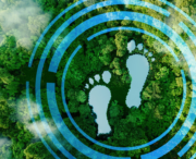 Aerial view of a green forest with two water-filled footprints and blue circular digital lines superimposed on the image.