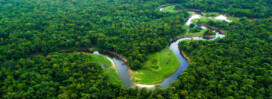 A winding river flows through dense, green forest in a lush, tropical landscape, viewed from above.