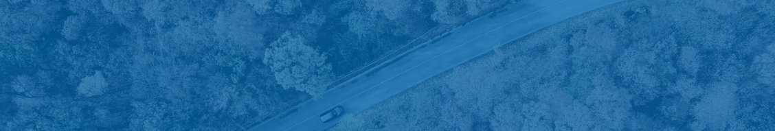 Aerial view of a car driving on a winding road through a forested area, with trees on both sides—an inspiring example of connected ecosystems.
